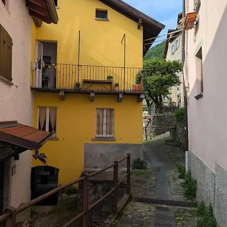 The Sunflower Of Holiday home Pognana Lario